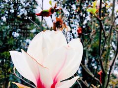 -白鹭湾湿地公园