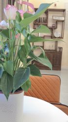 -御品•瑶浴灸疗SPA