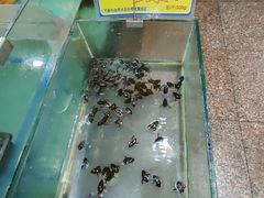 -渔民新村(番禺总店)