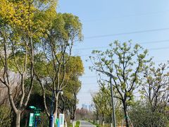 -昆山城市生态森林公园