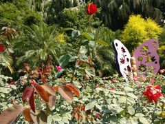 -人民公园(罗湖区)