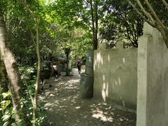 -勇士之星真人CS·团建·拓展(清水河公园店)