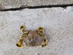 -东戴河风景区-止锚湾