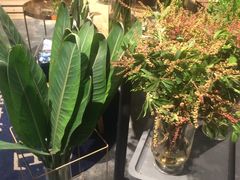 -植物学家的女儿(北马道巷店)