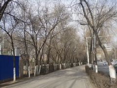 -德禄酸奶(莫家街店)