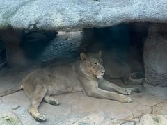 -北京野生动物园