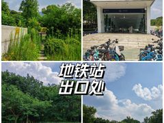 -紫金山山顶公园