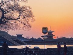 -广富林郊野公园