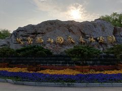 -北京西山国家森林公园