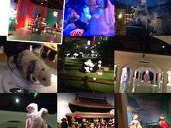 iphone_upload_pic-成都泰迪熊博物馆