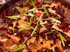 -老板恋上鱼(恒隆广场店)