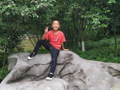 -龙头寺公园