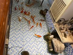 -向阳庄烧烤店(望京西园店)