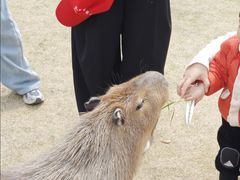 -南京金牛湖风景区