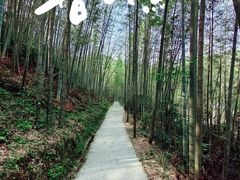 -千泷沟大瀑布旅游区