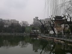 -莲湖公园