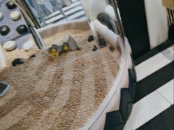 -超级奈尔宝SUPER NEOBIO(杭州星光店)