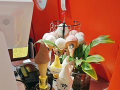 -野人先生现做冰淇淋(北京王府井东方新天地店)