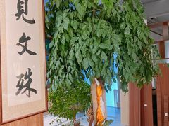 -云座·时光·观景咖啡厅(五爷庙店)