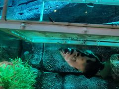 -沈阳海洋探索中心