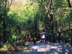 -紫金山山顶公园