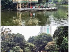 -晓港公园