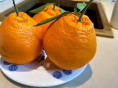 -龙森园火锅(琴台路店)