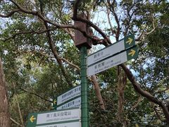 -南丫岛