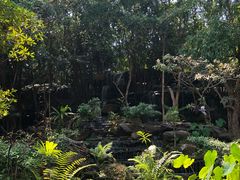 -绿光森林餐厅