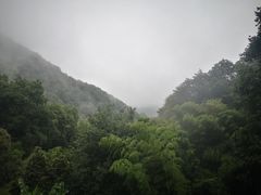 -韬光茶庵
