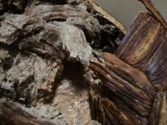 -好利来(朝外店)