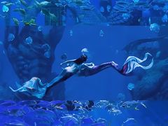 -波塞冬旅游度假区