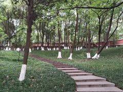 -富乐山