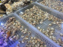 -万达广场(东莞厚街店)