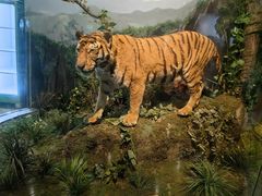 -陕西自然博物馆