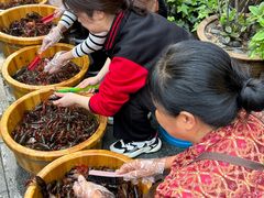 -可可大虾武汉土菜大排档(万松园1店)