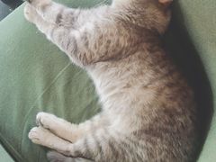 -天使咖啡(兴新街店)