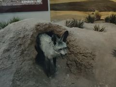 -国家自然博物馆