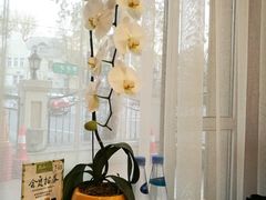 -南山鲜虾面·活鲜小馆·海味大连菜(南山总店)