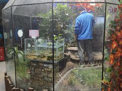 -上海大自然野生昆虫馆(东方明珠·爬宠昆虫探索中心)