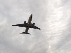 -空港花田景区