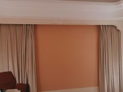 -上海白金汉爵大酒店(大零号湾国际会议中心店)