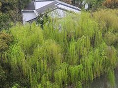 -同里湖度假村(二期店)