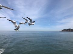 -海驴岛(荣成市)