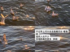 -大理洱海