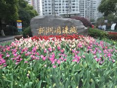 -新湖明珠城