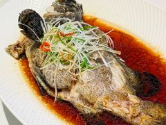 -巴音浩日娲酒楼(双林东路店)