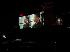 -枫花园汽车电影院(朝阳公园店)