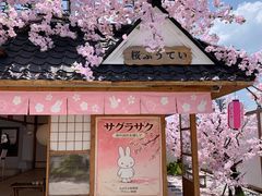 -Blue Concept Cafe&Farm·關於藍
