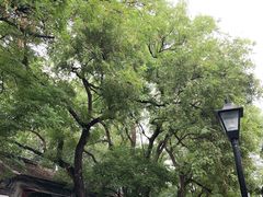 -北京国子监胡同